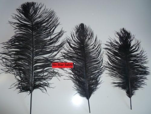 Six Star Sales Ostrich 50 pcs.Feathers Wholesale Bulk 10/12" Long Black Tail Feather Plumes
