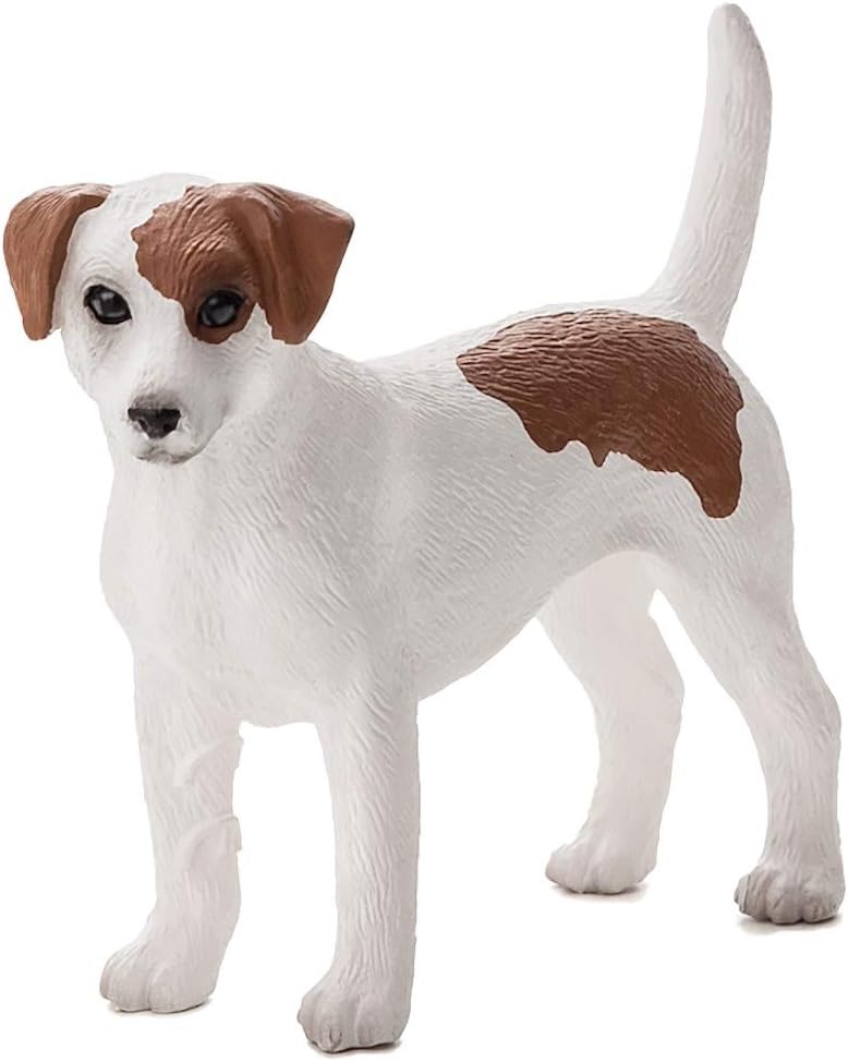 toy jack russell terrier