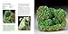 Gems and Minerals: Earth Treasures from the Royal Ontario Museum