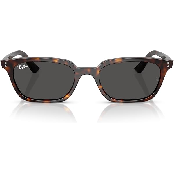 Amazon.com: Ray-Ban RB4441D Oval Sunglasses, Black/Dark Grey