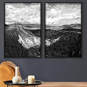 signwin 2 Piece Framed Canvas Wall Art Misty...