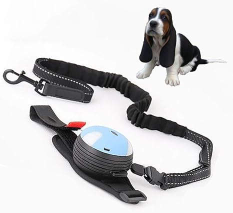 lockable dog collar and lead