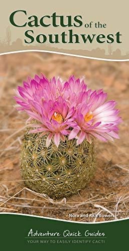 Cacti: Biology and Uses: Nobel, Park S.: 9780520231573: Amazon.com: Books