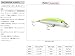 Rapala X-Rap Saltwater Fishing lure (Silver , Size- 4)