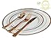Be Good or Better BGB Rose Gold Plastic Dinnerware 130 Pieces, 26 Guests, Rose Gold Plastic Plates with Rose Gold Silverware - include Dinner Plates, Salad Plates, Forks, Knives, Spoons