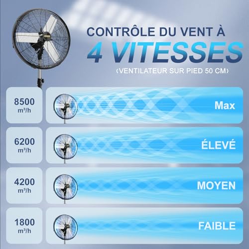 AVUXOR 50cm Outdoor Pedestal Fan with Remote Control, 4 Speed Oscillating Fan with Waterproof Brushless DC Motor, Industrial Fan for Patio, Garage, Warehouse, Factory