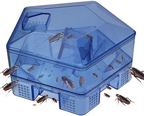 MODULYSS Allium Eco-Friendly Household Cockroach Trap Killer, Medium