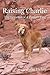 Raising Charlie: The Lessons of a Perfect Dog by John Lichty