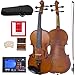 Cecilio CVA-500 15-Inch Viola Instrument Full Size Professional with D'Addario Prelude Strings and Ebony Fittings in Satin Antique Finish