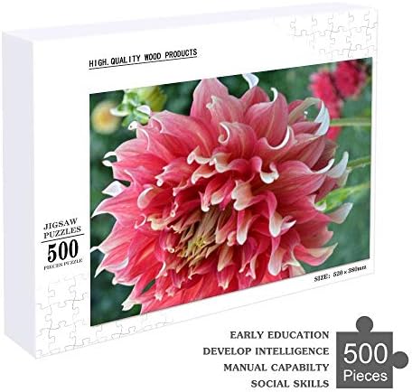 羽毛にピンクと白のダリア Flower 500pcsピース ジグソー パズル 木製 子供の贈り物 パズルアート集 子供の遊び 室内装飾 52x38cm B08b53wnm1 1 750円
