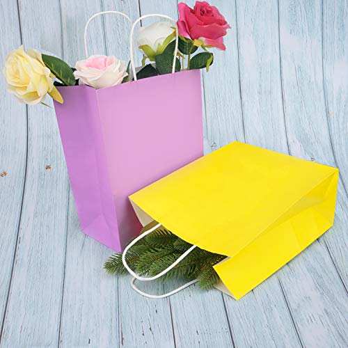 Livder 24 Pieces Gift Bag Kraft Paper Bags with Handle for Birthday, Wedding and Party Celebrations (Colorful)