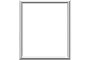 Ekena Millwork PNL24X28AS-01 24"W x 28"H x 1/2"P Ashford Molded Classic Wainscot Wall Panel