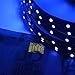 16.4FT 3528SMD 300LED UV Strip Light Blacklight Christmas Ultraviolet Light Kitchen Decor Light TV Backlight Waterproof Night Fishing Light DC12V