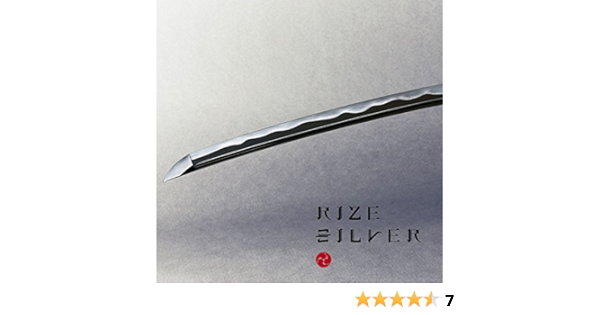 Rize Silver Amazon Com Music