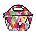 PackIt Freezable Traveler Lunch Bag, Viva