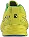 Salomon Men's Sonic Aero Running Shoe
