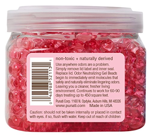 SMELLS BEGONE Odor Eliminator Gel Beads - Air Freshener - 12 Ounce (Bayberry Scent - 2 Pack)