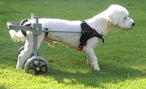 Huggiecart Dog Wheelchair Size 3 R for Small Dog Approximate Weight 18 to 40 Lbs Huggiecart Dog Wheelchair Size 3 R for Small Dog Approximate Weight 18 to 40 Lbs