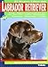 El nuevo libro del labrador retriever