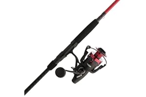Penn Fierce IV Spinning Reel and Fishing Rod Combo