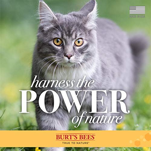 BURT’S BEES FOR PETS CAT DANDER REDUCING SPRAY WITH COLLOIDAL OAT FLOUR AND HONEY, WATERLESS CAT GROOMING SPRAY FOR DRY SKIN AND DANDRUFF CONTROL, CAT DANDER REMOVER FOR ALLERGY SUPPORT, 10 FL OZ