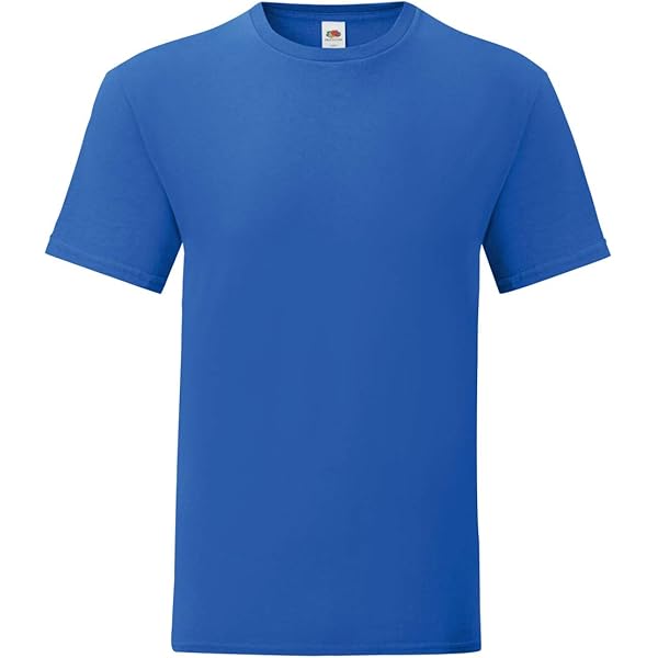 FRUIT OF THE LOOM / 00s/TOYSTORY/MOVIETシャツ/XXL/コットン/BLU/無地 Fruit of the Loom Mens Iconic T-Shirt (XL) (Royal Blue) | Amazon.com
