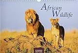 African Wildlife 2019 - Format S by