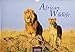 African Wildlife 2019 - Format S by