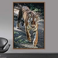Framed Canvas Wall Art Tiger Animals Chic Dramatic Lion Living Room Multicolor Photography - 16x24 inches