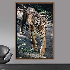 signwin Framed Canvas Wall Art Tiger Animals Chic...