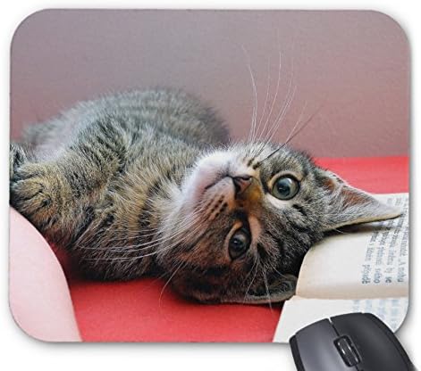 Amazon Co Jp 可愛い猫のマウスパッド フォトパッド 世界の猫シリーズ D ホーム キッチン