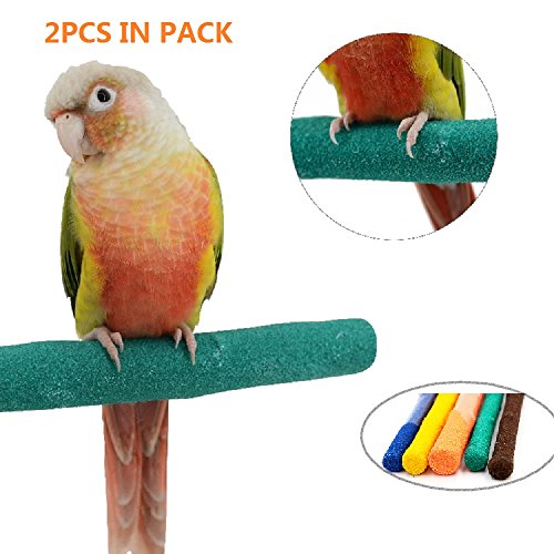Best Bird Perches for Parrots Inway Projects