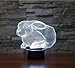 FIDDY898 Animal 3D Illusion Night Light 7 Colors Changing with Acrylic Flat & ABS Base & USB Charger Bunny