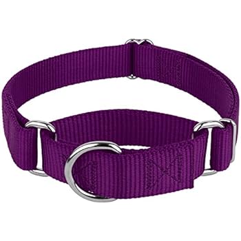 Country Brook Design - Martingale Heavyduty Nylon Dog Collar - Purple - Medium