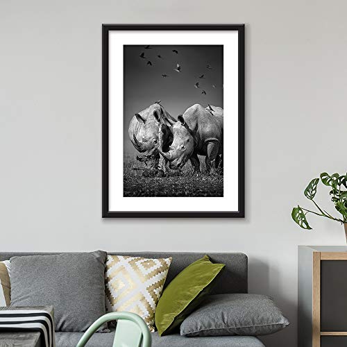 Framed Rhinos Birds In Black White Black Picture Frames White