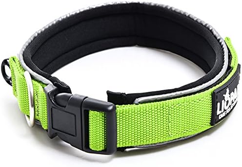 High Quality Liopard Reflective Adjustable Classic Solid Color Dog Collar For Medium and Large Dogs-Best Gift Ideal to Any Dog Lover, Neck 17"-21", width 1",Lemon Green