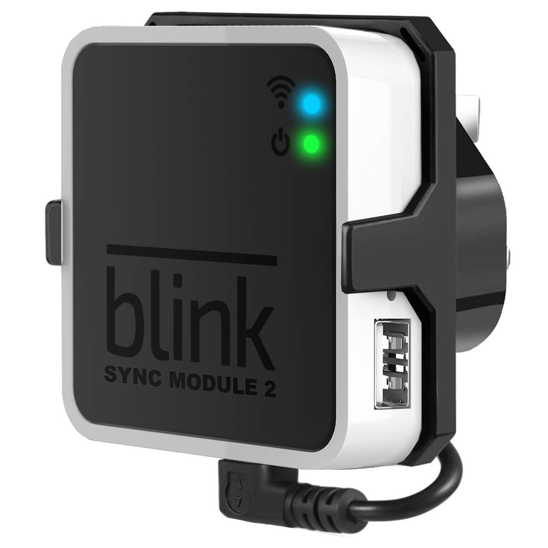 Sync module. Sync module
