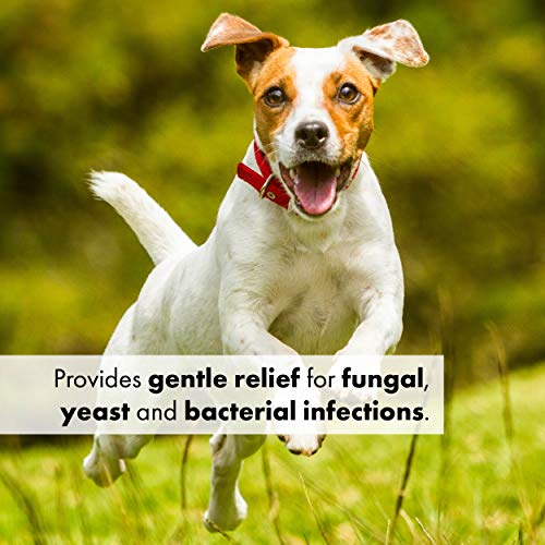 Dr. Gold’s Ear Therapy Medicated Formula Treats Bacterial, Fungal and