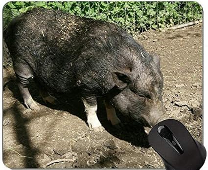Amazon 動物デザインかわいい赤ちゃん豚マウスパッド イノシシのマウスパッド Yanteng マウスパッド 通販