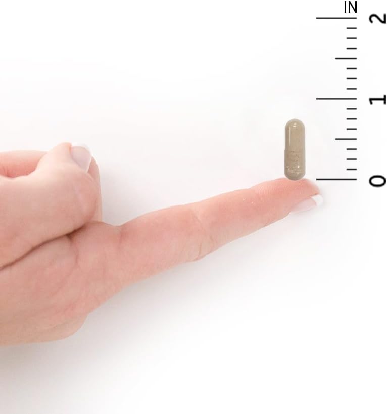 Garden of Life Multivitamin for Women, Vitamin Code Women's Multi - 120 Capsules, Whole Food Womens Multi, Vitamins, Iron, Folate not Folic Acid & Probiotics for Womens Energy, Vegetarian Supplements: Health & Personal Care