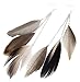 AnVei-Nao Womens Girls Feather Tassel Hook Ear Stud Earrings Fashion Jewelry Brown