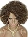 Kalyss Brown with Blonde Highlights Short Afro Kinky Curly Wigs for Black Women Premium Synthetic Hair Wigs with Hair Bangs 150% Density Bouncy and Full Natural Looking Hair Wigs