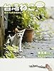 台湾ねこ ニ～ハオ