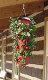 Topsy Turvy Upside Down Strawberry Planter (4 Pack)