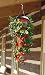 Topsy Turvy Upside Down Strawberry Planter (4 Pack)