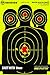 BEEWARE Targets 12x18-Inch Silhouette Reactive Splatter Targets for Shooting -