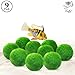 Luffy 9 Marimo Moss Balls - Jumbo Pack of Aesthetically Beautiful Plants - Create Healthy Environment for Aquatic Pets - Low Maintenance Live Plant - Shrimps & Snails Love Them