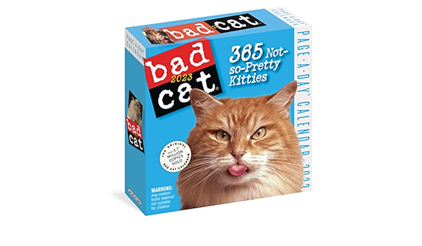 365 Cats Page A Day Calendar 2023 Bad Cat Page-A-Day Calendar 2023: Workman Calendars: 9781523516292:  Amazon.com: Books