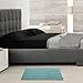 Cloud Mountain Non-Slip Microfiber Bath Rugs Chenille Floor Mat Ultra Soft Washable Bathroom Fast Water Absorbent Bedroom Area Rugs Turquoise