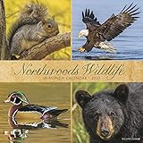 Northwoods Wildlife 2020 Wall Calendar by 